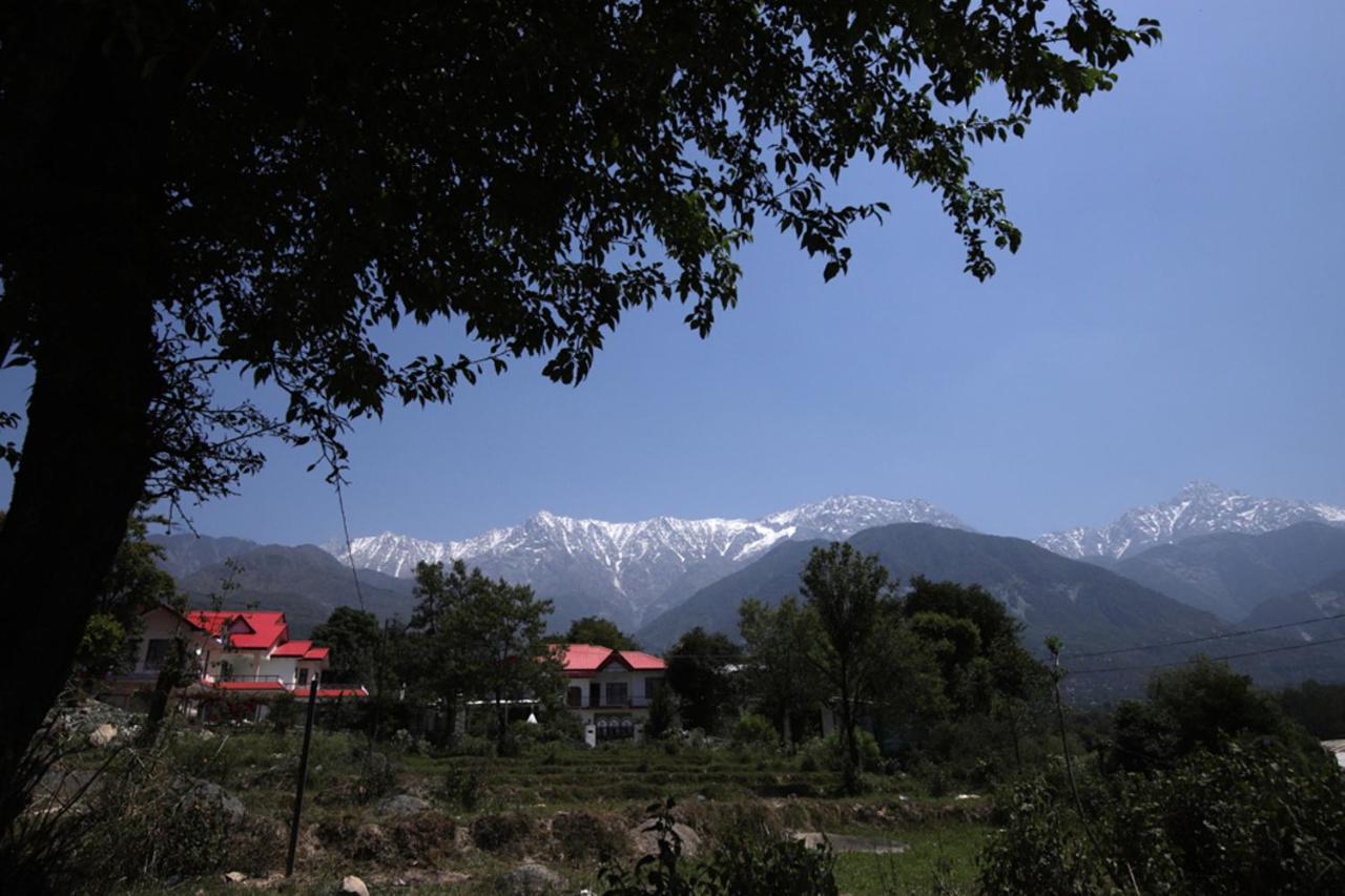فندق ماكليود غانجفي  Harmony Blue Mcleodganj المظهر الخارجي الصورة